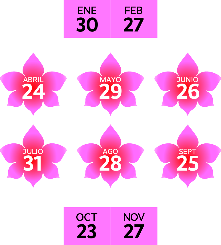 Fechas-Móvil