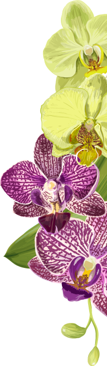 Flor1-Der