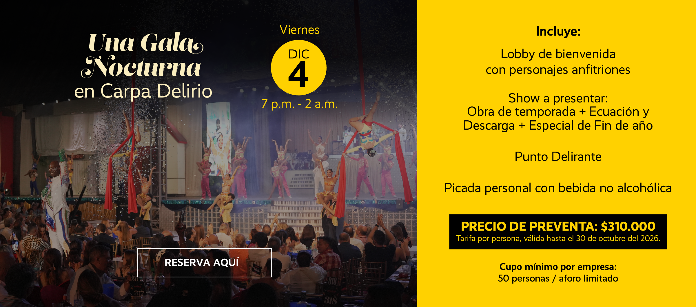 Gala Nocturna D